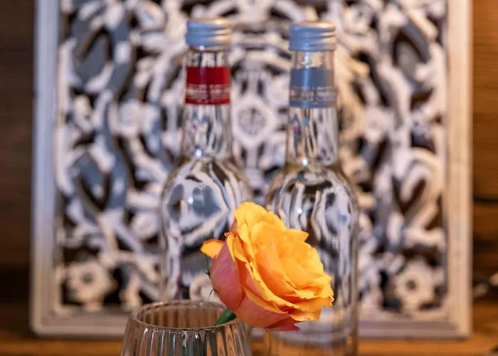 The Medran Penthouse Вербье